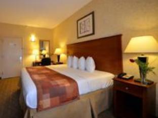 Sheridan 2* Nova York